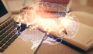 neurociencia-na-educacao