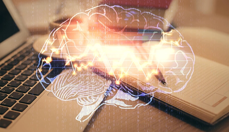 neurociencia-na-educacao